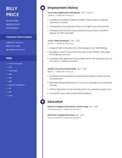 Associate Application Developer Resume