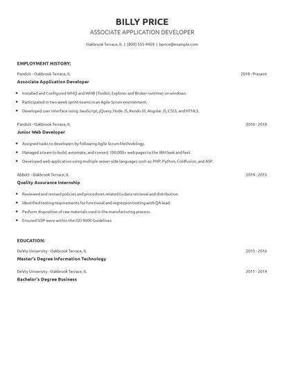Associate Application Developer Resume