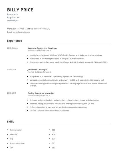 Associate Application Developer Resume