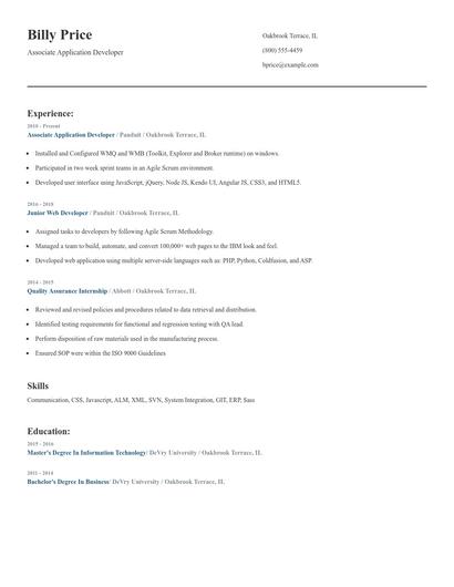 Associate Application Developer Resume