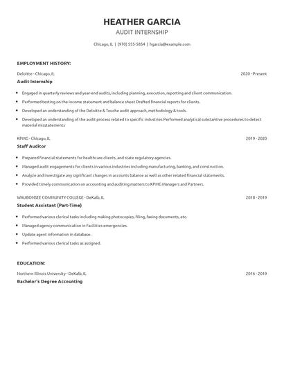 Audit Internship Resume
