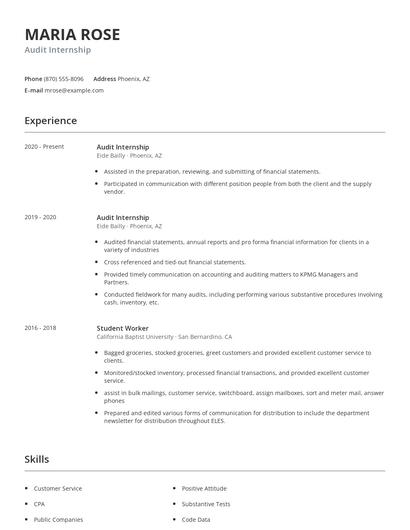 Audit Internship Resume
