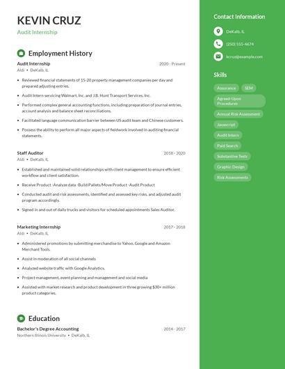Audit Internship Resume