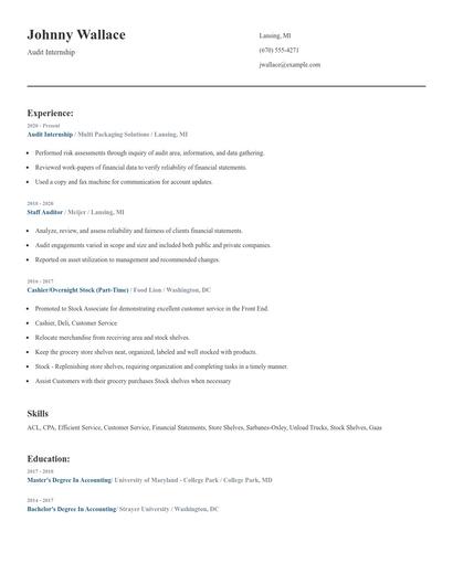 Audit Internship Resume