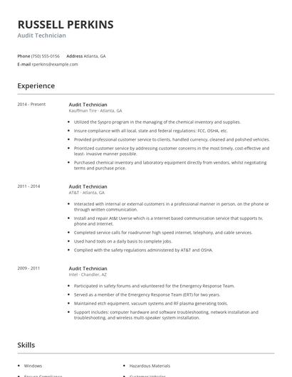 Audit Technician Resume