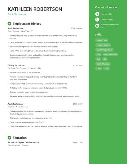 Audit Technician Resume