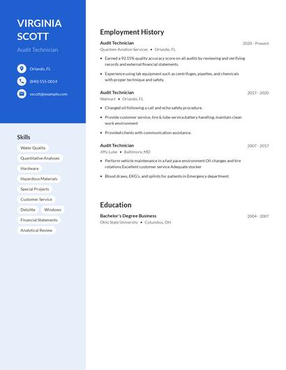 Audit Technician Resume