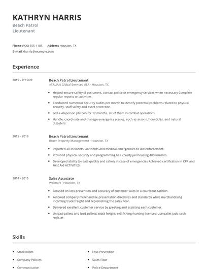 Beach Patrol Lieutenant Resume