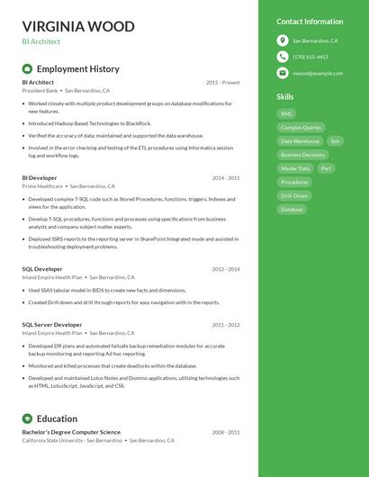 BI Architect Resume