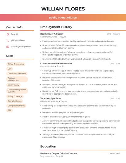 Bodily Injury Adjuster Resume