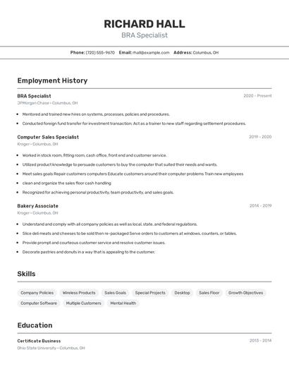 BRA Specialist Resume