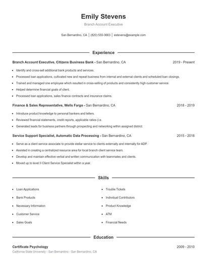 Branch Account Executive Resume