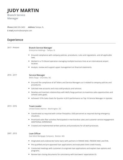 Branch Service Manager Resume