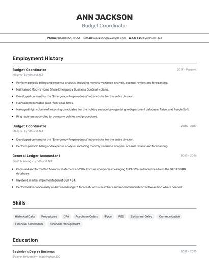 Budget Coordinator Resume