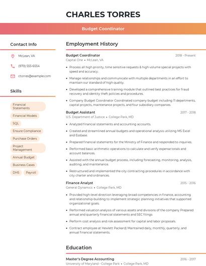 Budget Coordinator Resume