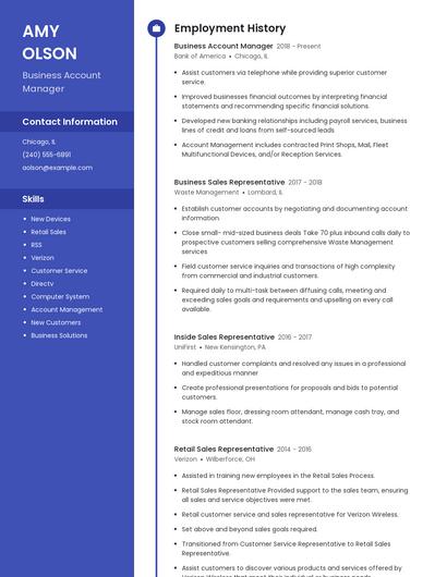 Business Account Manager Resume