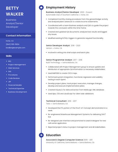 Business Analyst/Senior Developer Resume