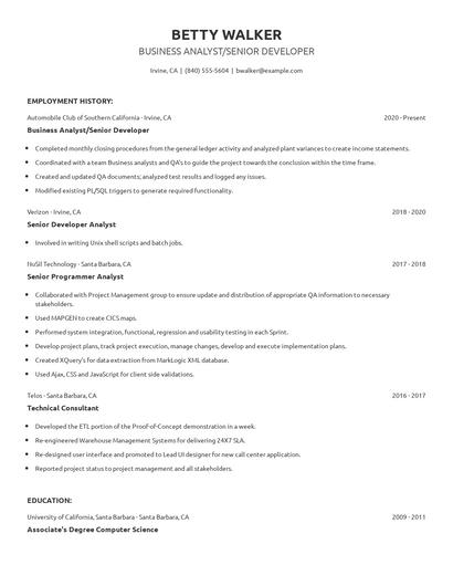 Business Analyst/Senior Developer Resume