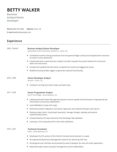 Business Analyst/Senior Developer Resume