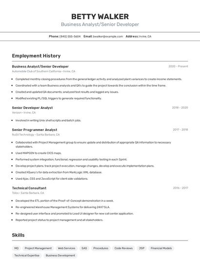 Business Analyst/Senior Developer Resume