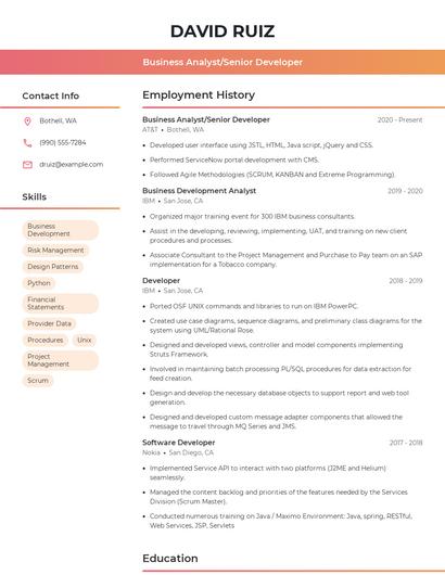 Business Analyst/Senior Developer Resume