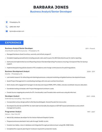 Business Analyst/Senior Developer Resume