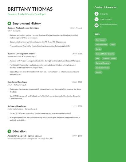 Business Analyst/Senior Developer Resume