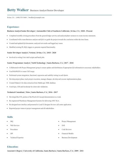 Business Analyst/Senior Developer Resume