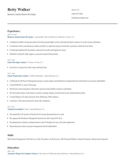Business Analyst/Senior Developer Resume
