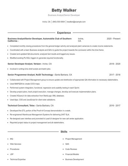 Business Analyst/Senior Developer Resume
