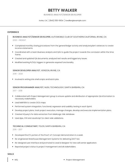 Business Analyst/Senior Developer Resume