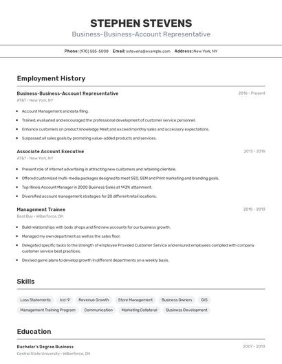 Business-Business-Account Representative Resume
