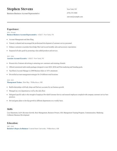 Business-Business-Account Representative Resume