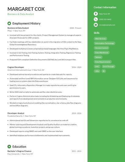 Business & Data Analyst Resume