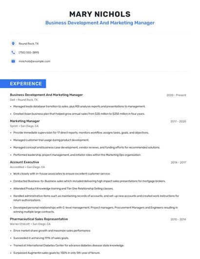 Business Development And Marketing Manager Resume