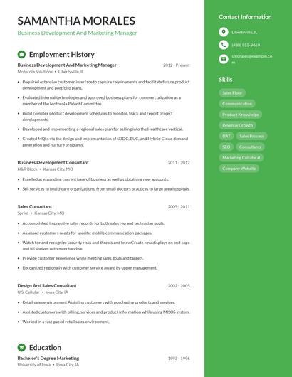 Business Development And Marketing Manager Resume