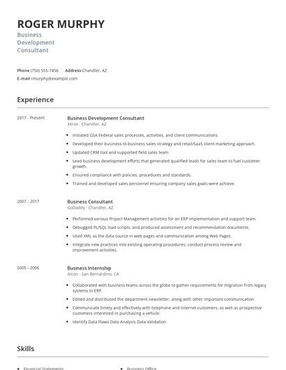 Business Development Consultant Resume