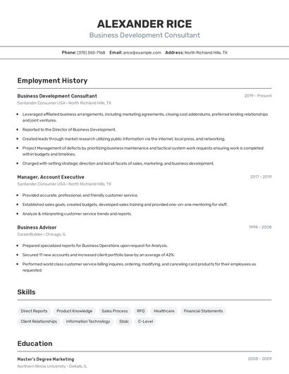 Business Development Consultant Resume