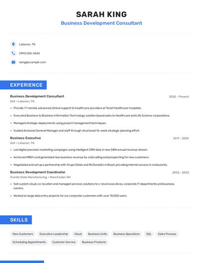 Business Development Consultant Resume