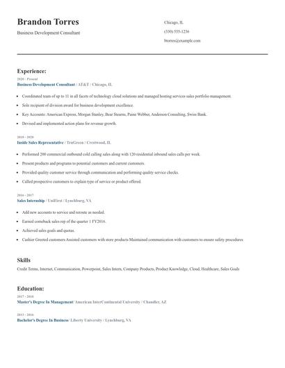 Business Development Consultant Resume