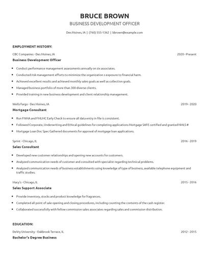 Business Development Officer Resume