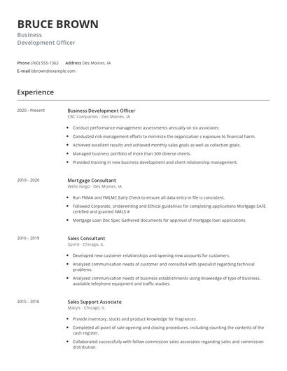 Business Development Officer Resume