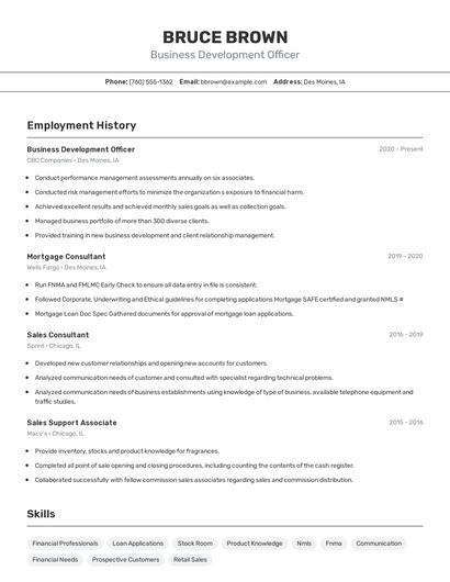 Business Development Officer Resume