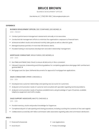 Business Development Officer Resume