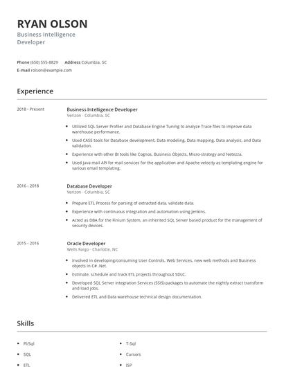 Business Intelligence Developer Resume