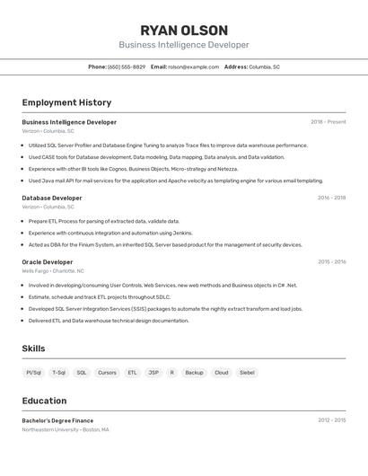 Business Intelligence Developer Resume