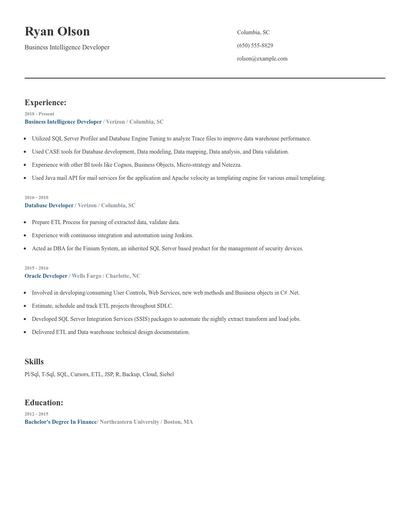 Business Intelligence Developer Resume