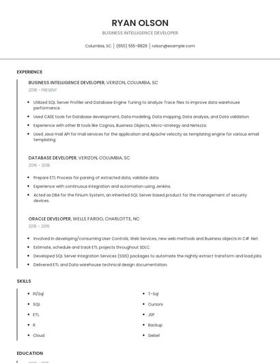 Business Intelligence Developer Resume