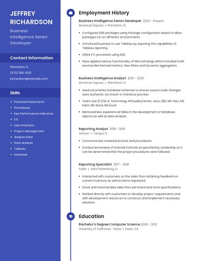 Business Intelligence Senior Developer Resume