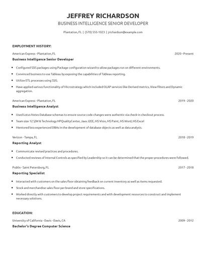 Business Intelligence Senior Developer Resume